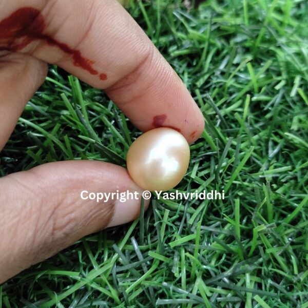 South Sea Natural Pearl 16.40 Carat (PEA-30) - Image 4