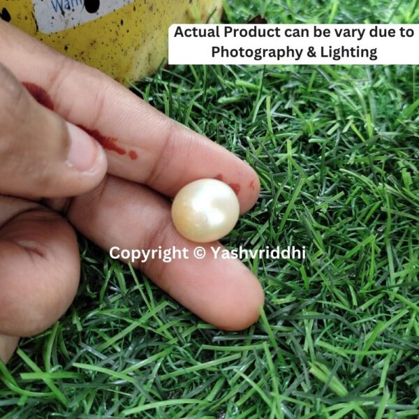 South Sea Natural Pearl 15.75 Carat (PEA-31) - Image 4