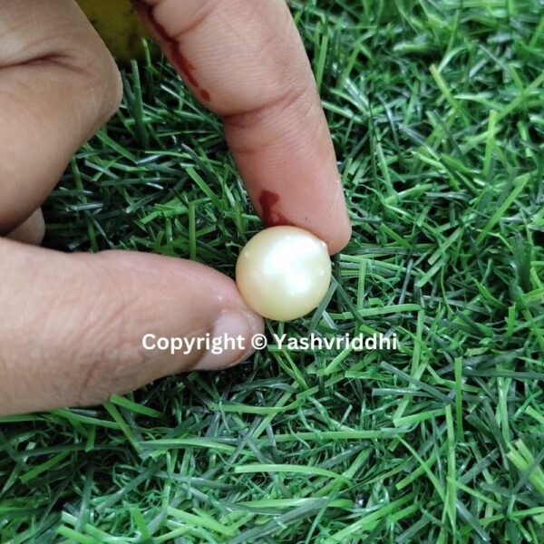 South Sea Natural Pearl 14.25 Carat (PEA-32) - Image 4