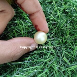 South Sea Natural Pearl 13 Carat (PEA-33) - Image 4