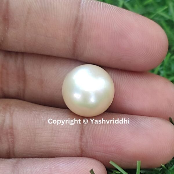 South Sea Natural Pearl 14.4 Carat (PEA-5) - Image 4