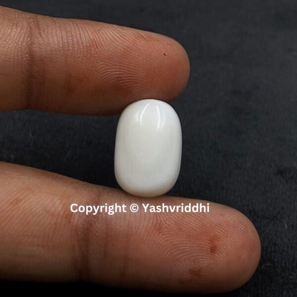 Natural Certified White Coral 10.61 Carat (WCOR-7) - Image 4