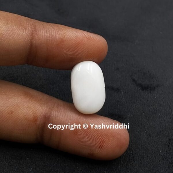 Natural Certified White Coral 10.28 Carat (WCOR-8) - Image 4