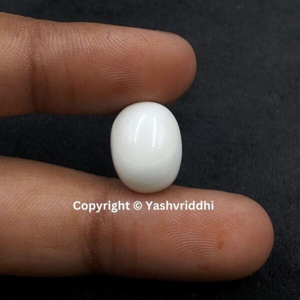 Natural Certified White Coral 10.12 Carat (WCOR-10) - Image 4