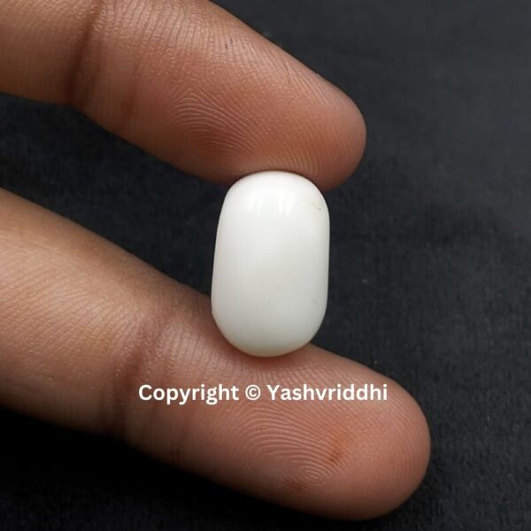 Natural Certified White Coral 12.15 Carat (WCOR-13) - Image 6