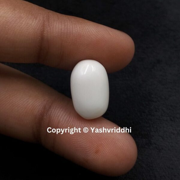 Natural Certified White Coral 11.05 Carat (WCOR-15) - Image 4