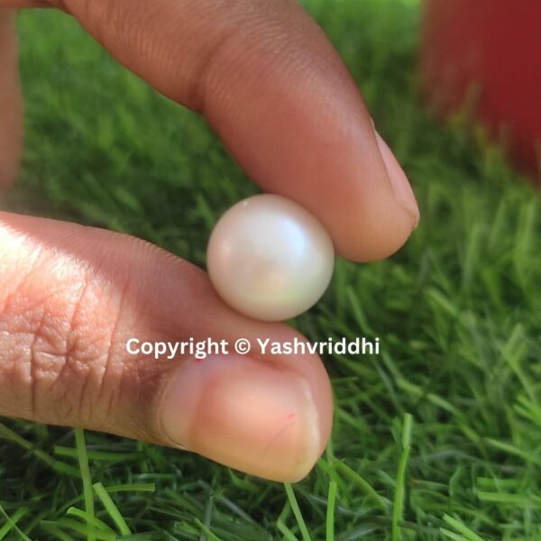 South Sea Natural Pearl 11 Carat (PEA-8) - Image 4