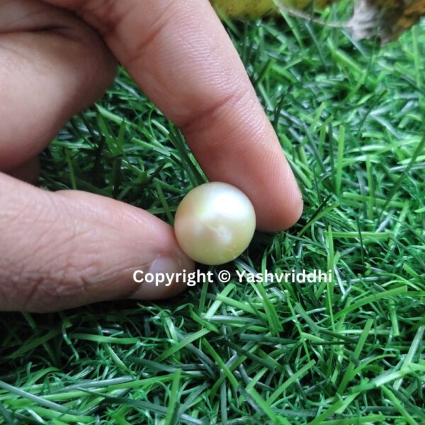 South Sea Natural Pearl 16.45 Carat (PEA-18) - Image 5