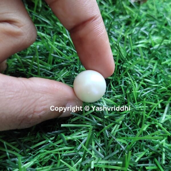 South Sea Natural Pearl 16.05 Carat (PEA-21) - Image 5