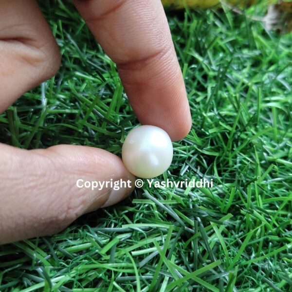 South Sea Natural Pearl 13.70 Carat (PEA-22) - Image 5