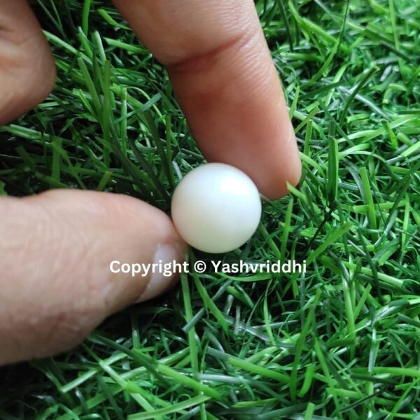 South Sea Natural Pearl 12.20 Carat (PEA-24) - Image 5