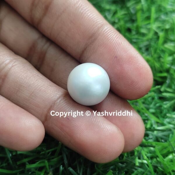 South Sea Natural Pearl 13.6 Carat (PEA-2) - Image 5