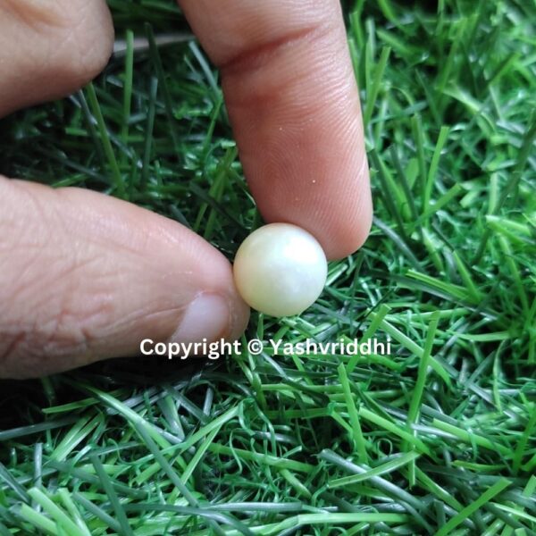 South Sea Natural Pearl 7.25 Carat (PEA-25) - Image 5