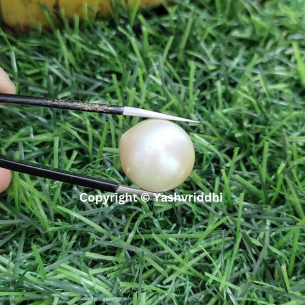 South Sea Natural Pearl 22.30 Carat (PEA-27) - Image 5