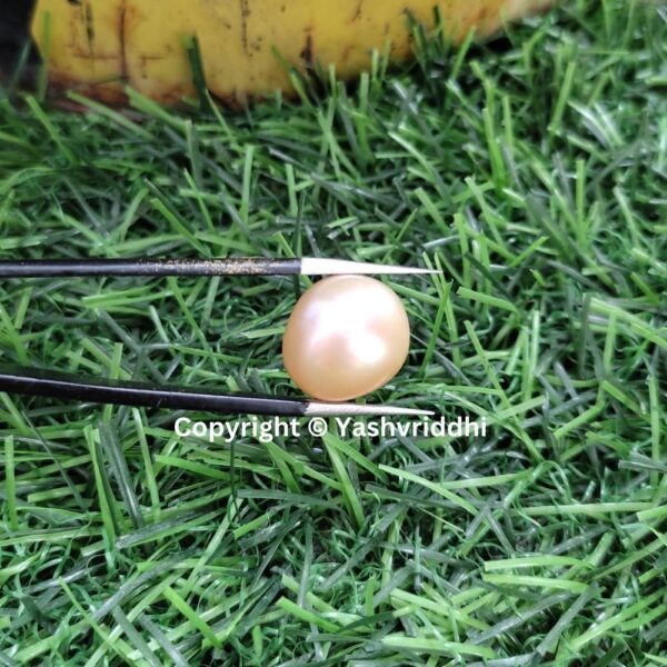 South Sea Natural Pearl 16.40 Carat (PEA-30) - Image 5