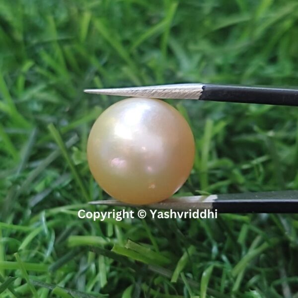 South Sea Natural Pearl 14.4 Carat (PEA-5) - Image 5