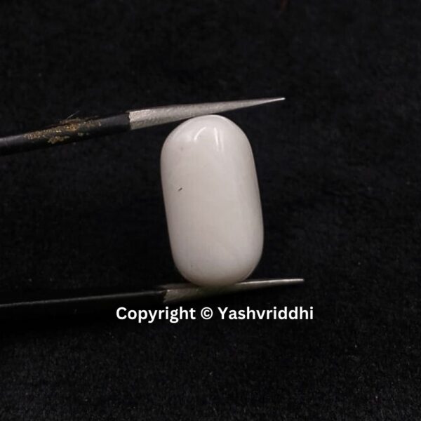 Natural Certified White Coral 12.10 Carat (WCOR-14) - Image 5