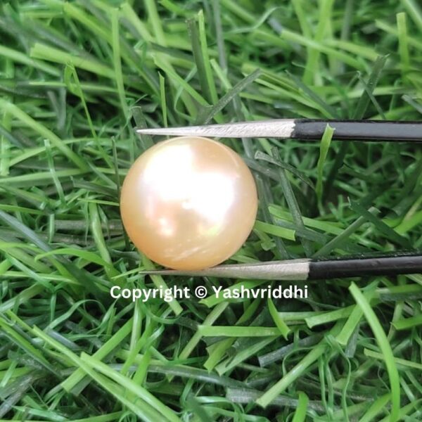 South Sea Natural Pearl 12 Carat (PEA-7) - Image 5