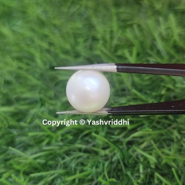 South Sea Natural Pearl 11 Carat (PEA-8) - Image 5