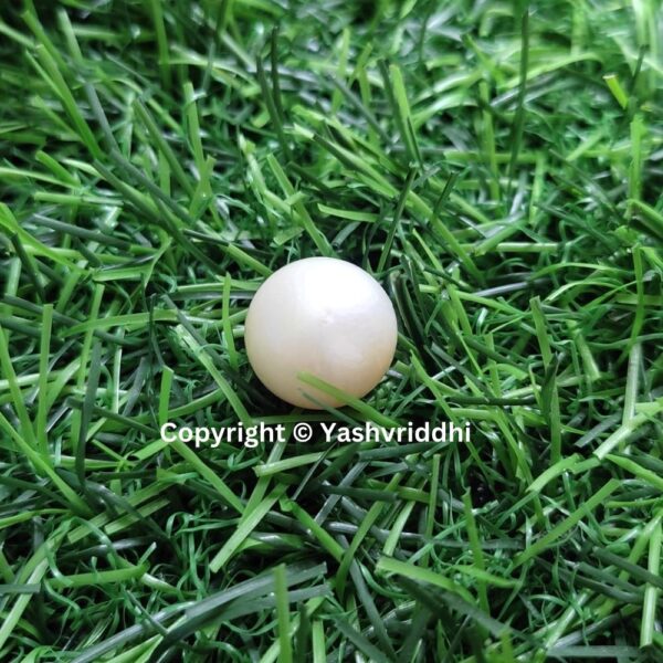 South Sea Natural Pearl 18.20 Carat (PEA-17) - Image 6