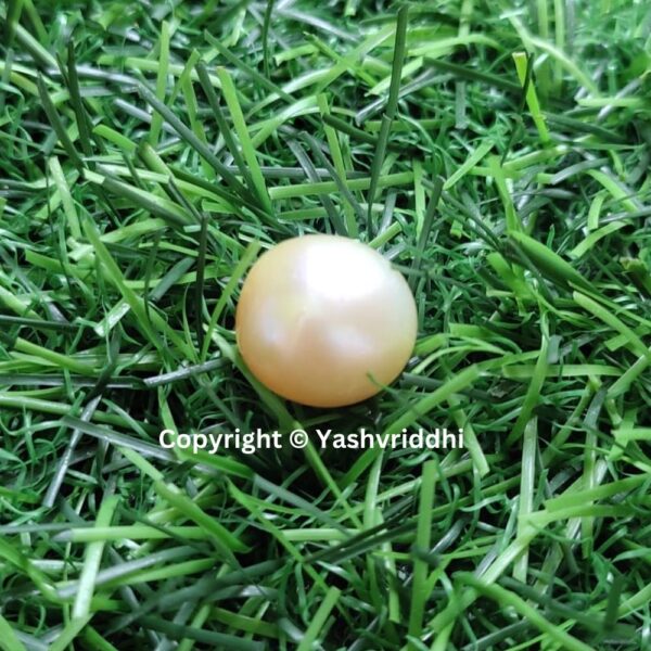 South Sea Natural Pearl 16.45 Carat (PEA-18) - Image 6