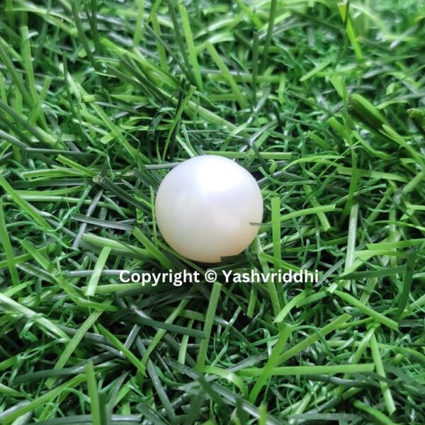 South Sea Natural Pearl 16.35 Carat (PEA-19) - Image 6