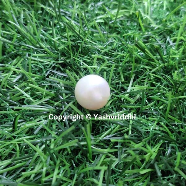 South Sea Natural Pearl 16.05 Carat (PEA-21) - Image 6