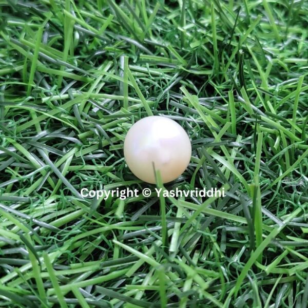 South Sea Natural Pearl 13.70 Carat (PEA-22) - Image 6