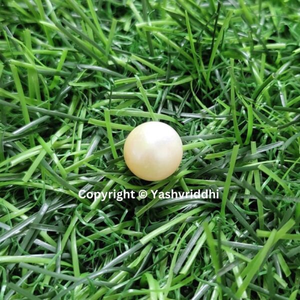 South Sea Natural Pearl 7.25 Carat (PEA-25) - Image 6