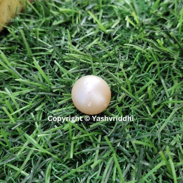 South Sea Natural Pearl 23.75 Carat (PEA-26) - Image 6