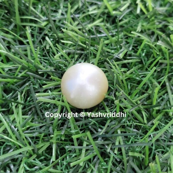 South Sea Natural Pearl 22.30 Carat (PEA-27) - Image 6