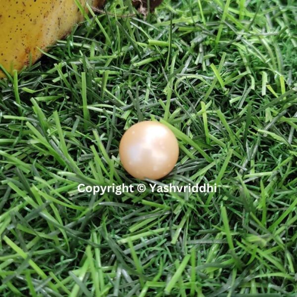 South Sea Natural Pearl 17.70 Carat (PEA-29) - Image 6