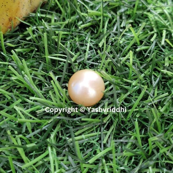 South Sea Natural Pearl 16.40 Carat (PEA-30) - Image 6