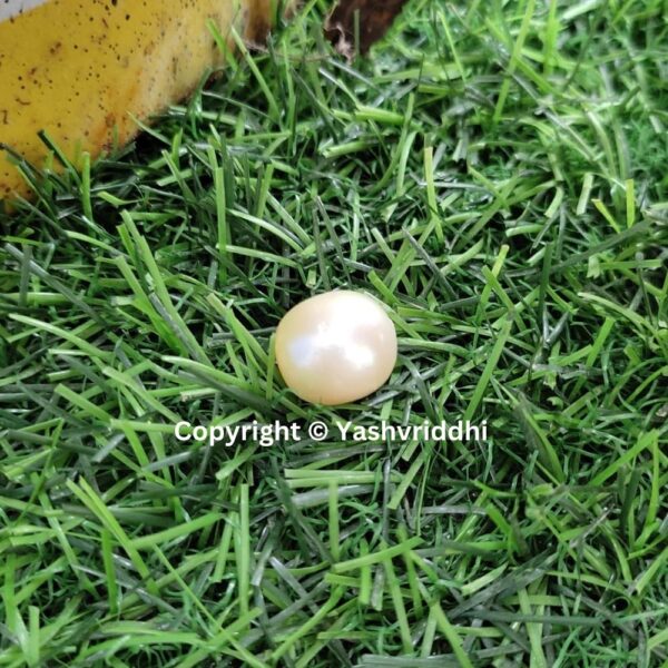 South Sea Natural Pearl 15.75 Carat (PEA-31) - Image 6