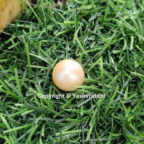 South Sea Natural Pearl 14.25 Carat (PEA-32) - Image 6