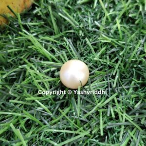 South Sea Natural Pearl 13 Carat (PEA-33) - Image 6