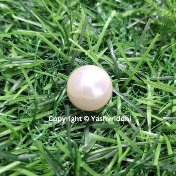 South Sea Natural Pearl 10.8 Carat (PEA-3) - Image 6