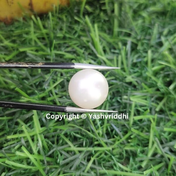 South Sea Natural Pearl 12.30 Carat (PEA-34) - Image 6