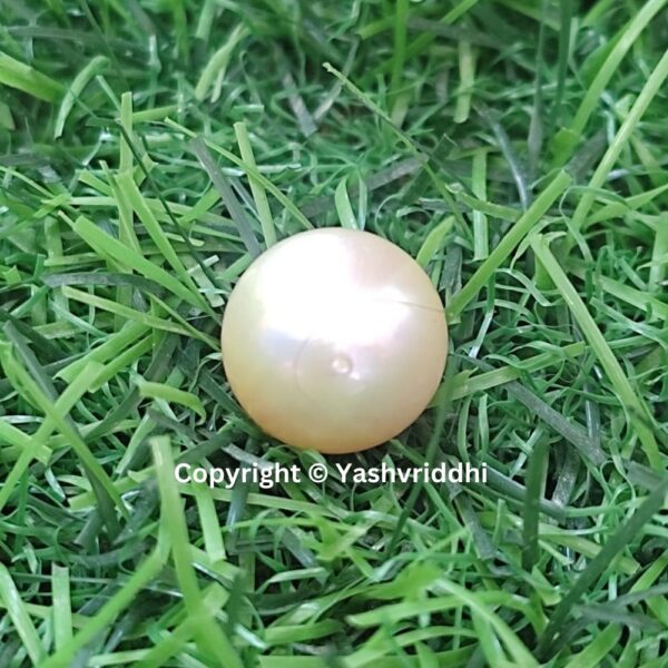 South Sea Natural Pearl 14.4 Carat (PEA-5) - Image 6