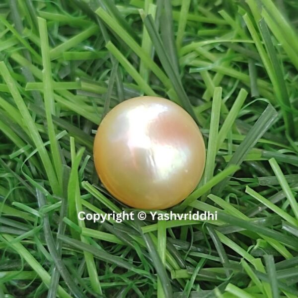 South Sea Natural Pearl 12 Carat (PEA-7) - Image 6