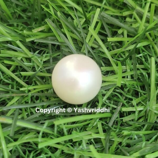 South Sea Natural Pearl 11 Carat (PEA-8) - Image 6