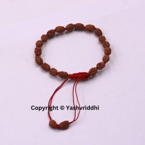 "Divine Harmony: 2 Mukhi Rudraksha Bracelet" - Image 2