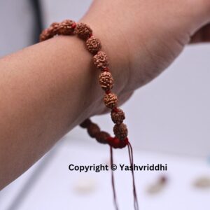"Divine Harmony: 2 Mukhi Rudraksha Bracelet" - Image 3