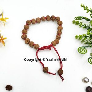 Peaceful Vibes: 5 Mukhi Rudraksha Bead Bracelet - Image 3