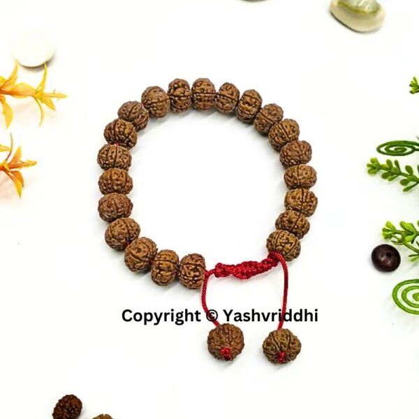 Stylish 6 Mukhi Rudraksha Bracelet - Image 3