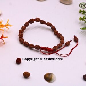 "Divine Harmony: 2 Mukhi Rudraksha Bracelet" - Image 4