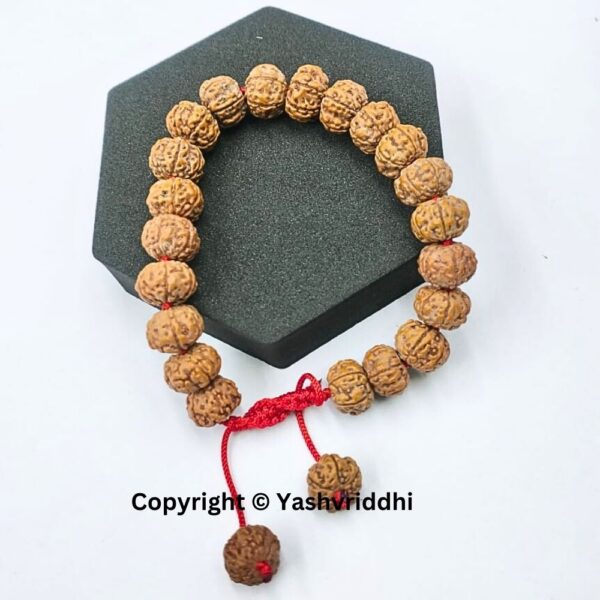 Stylish 6 Mukhi Rudraksha Bracelet - Image 4