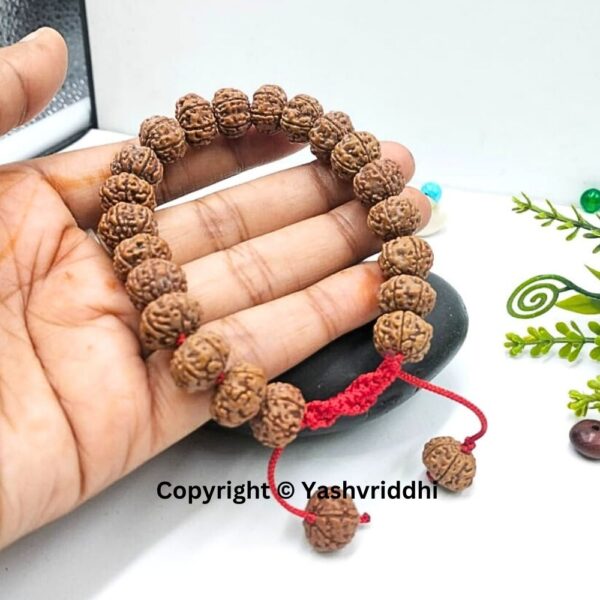 Stylish 6 Mukhi Rudraksha Bracelet - Image 5