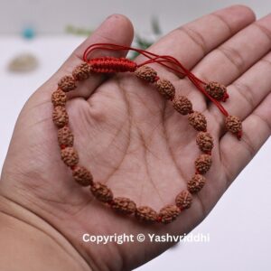"Divine Harmony: 2 Mukhi Rudraksha Bracelet" - Image 5