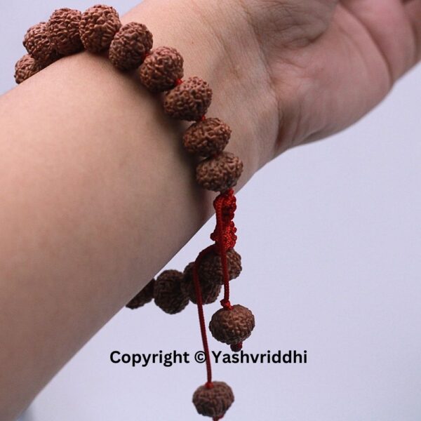 "Empowering 10 Mukhi Rudraksha Bracelet: A Symbol of Protection and Peace" - Image 6